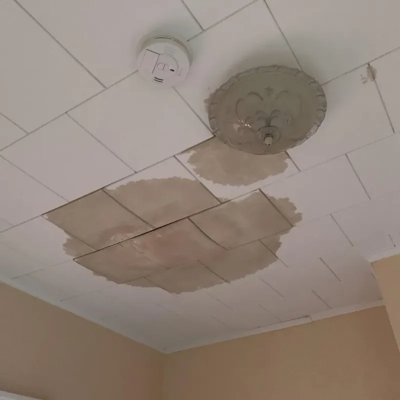 Ceiling Water Damage Repair in Emory, VA