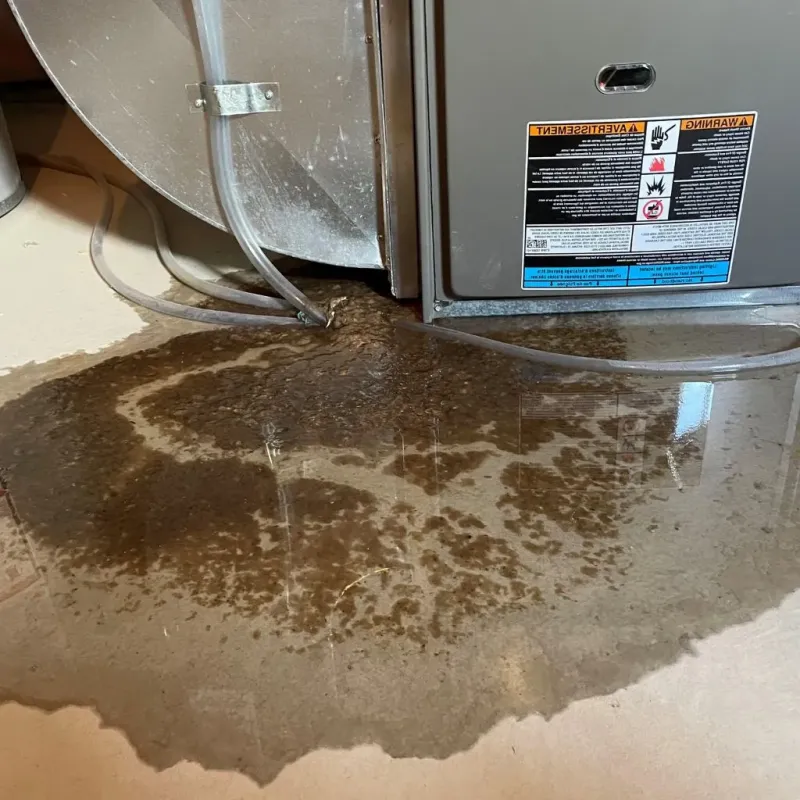 Pipe Burst and Leak Restoration in Emory, VA