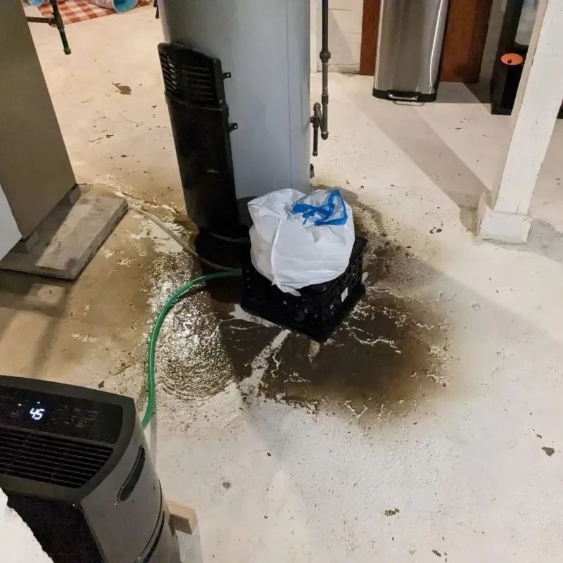 Sewage Backup Cleanup Service in Emory, VA